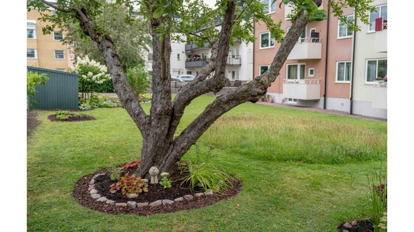 Mod gav vinst när Sveriges finaste innergård utsågs